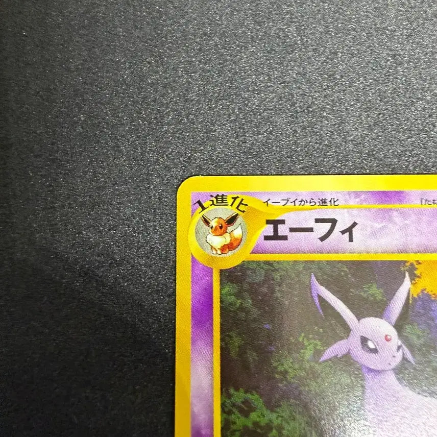 [BUNJANG] Pokemon Card Eevee Neo Premium File 2 Vintage Oldback / 포켓몬카드 빈티지 올드백 네오프리미엄파일2 에브이