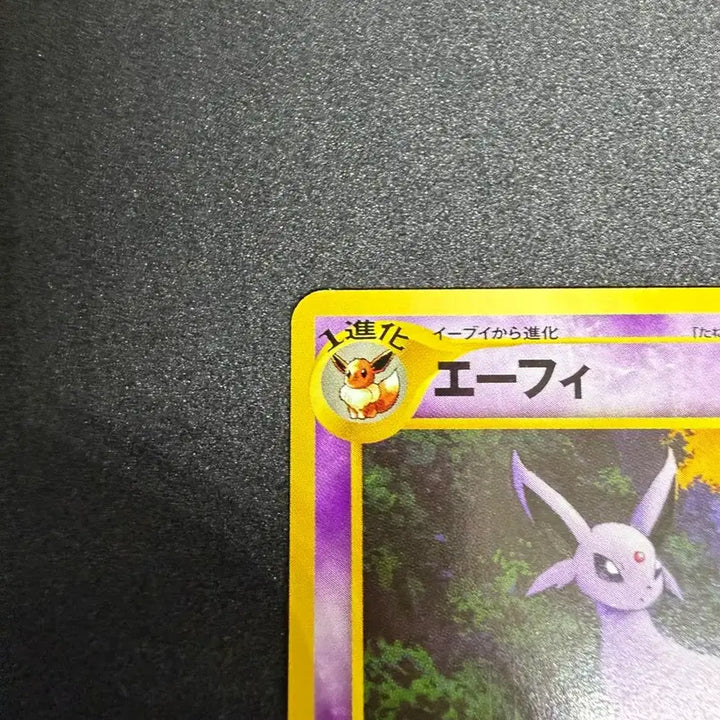 [BUNJANG] Pokemon Card Eevee Neo Premium File 2 Vintage Oldback / 포켓몬카드 빈티지 올드백 네오프리미엄파일2 에브이