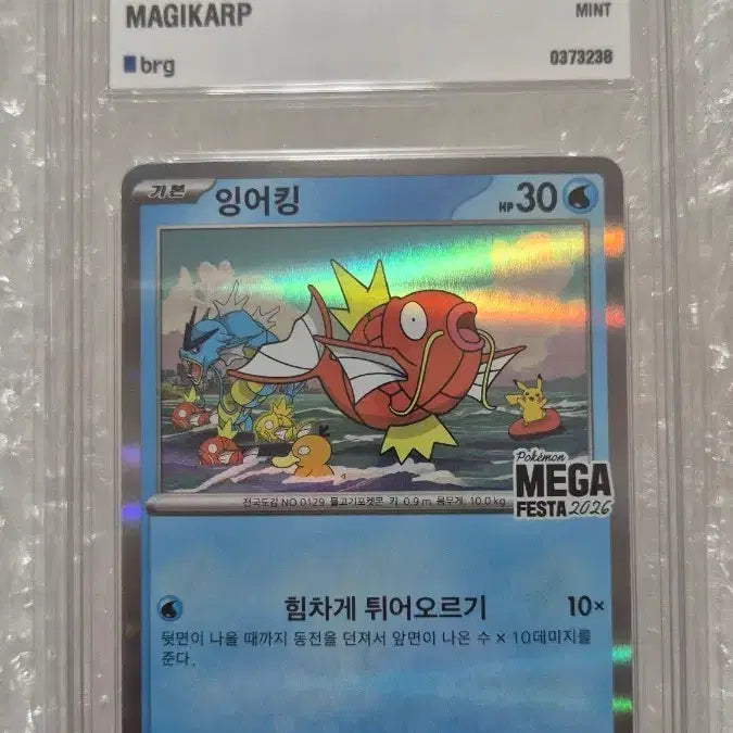 [BUNJANG] Magikarp Promo BRG9 / 포켓몬 잉어킹프로모 BRG9
