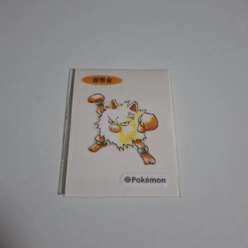 [BUNJANG] Pokemon Stickers Artwork Sungwonsung / 포켓몬 띠부씰 아트워크 성원숭
