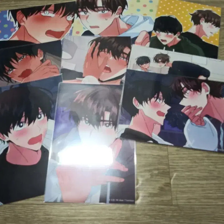 [BUNJANG] TWINIQUE Special Set Photocard Bundle / 신혼부부 특별전형 신특 투니크 헤이포카 일괄 판매