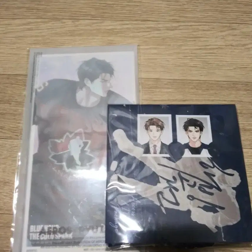 [BUNJANG] HAENGUNGSEON AE ROS Student ID Set Bundle / 해빙곡선 미개봉 에어로스,학생증 세트 일괄 판매