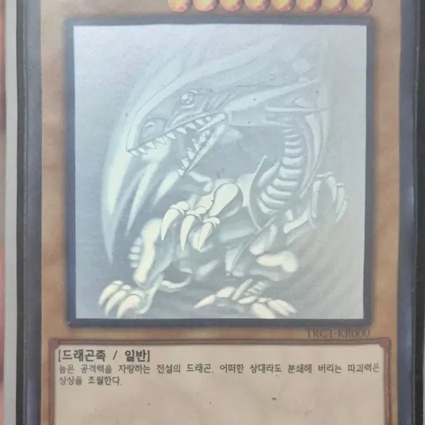 [BUNJANG] Yu-Gi-Oh! Blue-Eyes White Dragon Holo / 유희왕 푸른 눈의 백룡 홀로