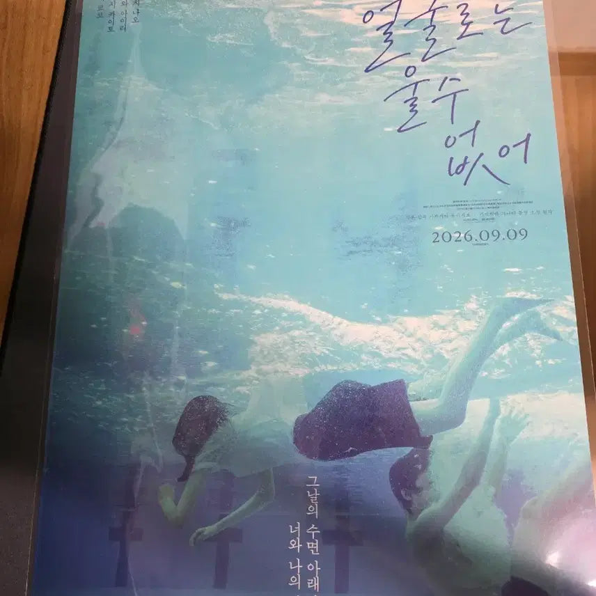 [BUNJANG] As You Wish (네 얼굴로는 울 수 없어) Poster / 네 얼굴로는 울 수 없어 포스터
