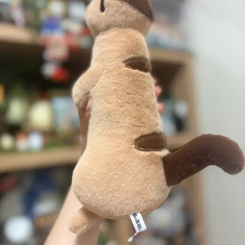 [BUNJANG] Studio Ghibli The Cat Returns Naturo Doll Large / [정품]택o 지브리 고전 고양이의보은 나토루 인형 대