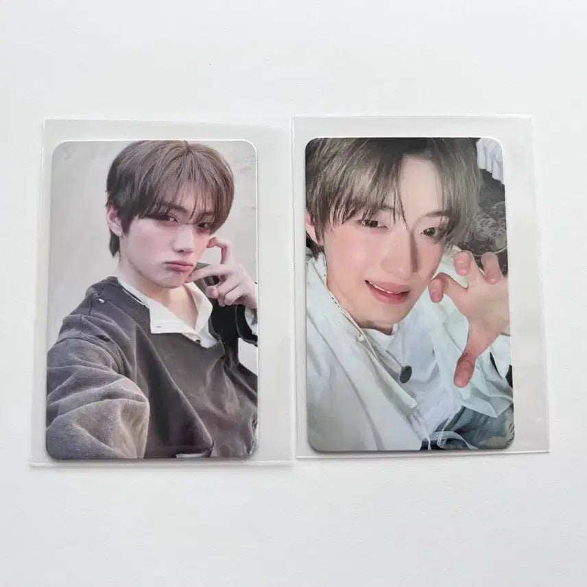 [BUNJANG] Sung Han (CIX) Semantic Nest Preazile Beast Album Bundle Set Photocard Set (2 pcs) / (안전결제) 알파드라이브원 상현 시멘틱 네스트 프레자일비스트 앨범 포카 앨포 2장 일괄