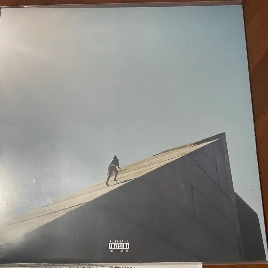 [BUNJANG] Daniel Caesar Freudian Limited Edition LP / 단순개봉) Daniel Caesar - Freudian 한정판 LP