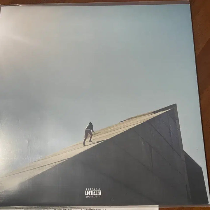[BUNJANG] Daniel Caesar Freudian Limited Edition LP / 단순개봉) Daniel Caesar - Freudian 한정판 LP