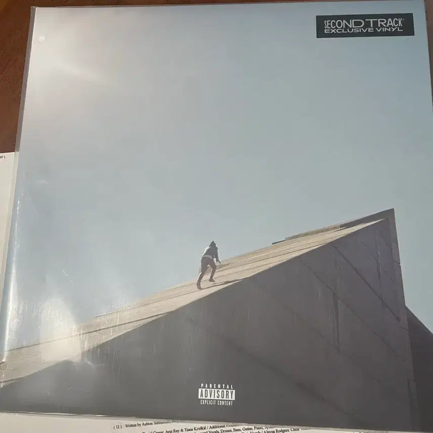 [BUNJANG] Daniel Caesar Freudian Limited Edition LP / 단순개봉) Daniel Caesar - Freudian 한정판 LP
