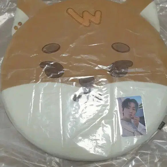 [BUNJANG] Denimals K Cushion / (단순개봉) 데니멀즈 케 방석
