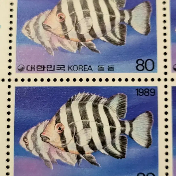 [BUNJANG] 1989 Fish Series &