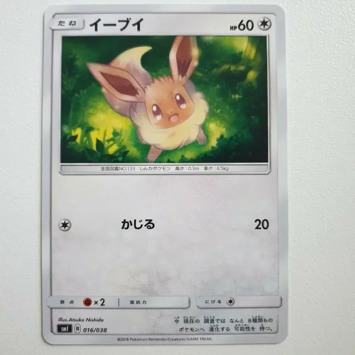 [BUNJANG] Pokemon Card Eevee Japanese Edition SM1B 016/038 / 일판/이브이 포켓몬카드