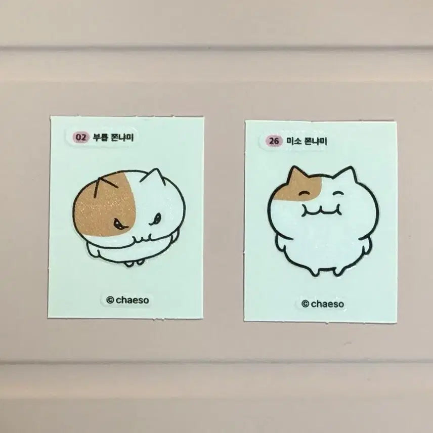 [BUNJANG] Jjonnyami Ttibusil Bundle Set / 쫀냐미 띠부씰