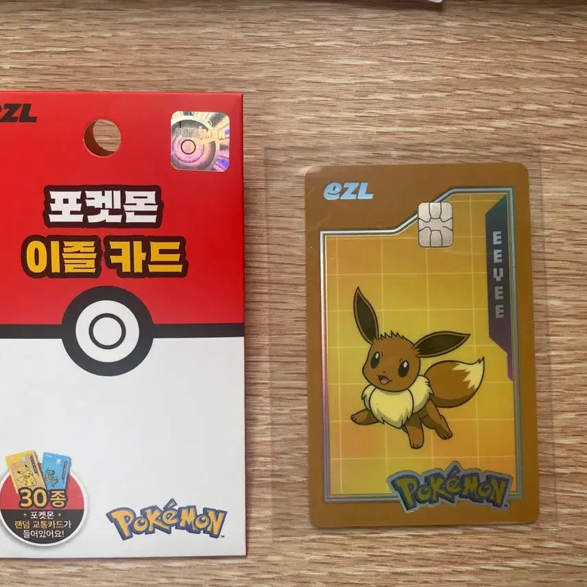 [BUNJANG] Pokemon Eevee Evil Card / 포켓몬 이블카드 이브이
