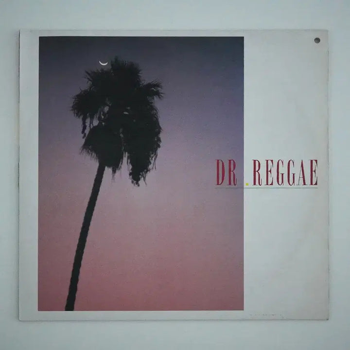 [BUNJANG] DR.REGGAE "Eoryeowo Jeongmal" Rare DJ Single LP Vinyl / 닥터레게 DR.REGGAE 어려워 정말 희귀 디제이 싱글 엘피 음반