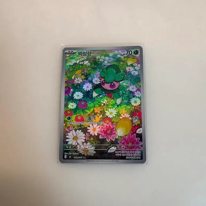 [BUNJANG] Pokemon Card Torkoal AR / 포켓몬카드 짜랑랑 AR