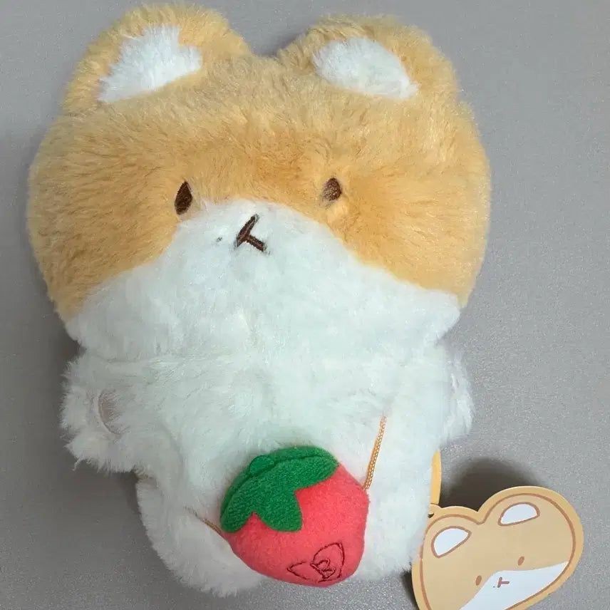 [BUNJANG] EXO Baekhyun 20cm Plush Doll / 엑소 백현 터래기 굿즈 20cm 인형