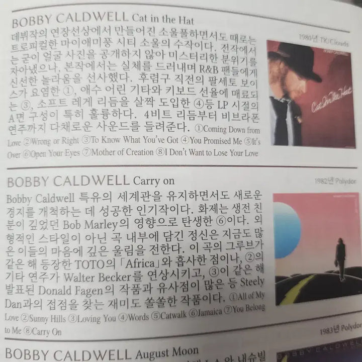 [BUNJANG] Bobby Caldwell Cat In The Hat LP / AOR 명반 추천 바비 콜드웰 Bobby Caldwell  Cat In The Hat LP