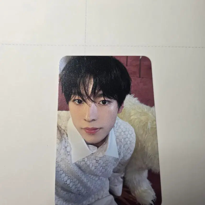 [BUNJANG] NCT WISH Yushi Wishful Photocard / 엔시티위시 유우시 WISHFUL 포토카드 양도