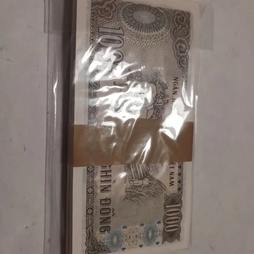 [BUNJANG] Vietnam 1000 Dong Banknote Bundle / 베트남 1000동 다발