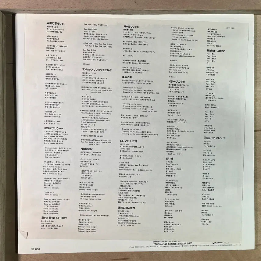 [BUNJANG] Niagara Triangle Niagara Triangle Vol.2 1982 Japanese First Press LP / Niagara Triangle Vol.2 일본 초반 1982년 LP