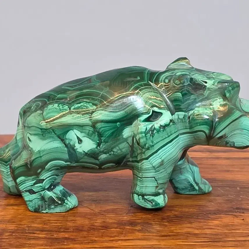 [BUNJANG] Malachite Baby Hippo Mineral Stone / 26091020 좋은 기운을 내뿜고 컬러와 문양이 환상적인 말라카이트 공작석 아기 하마 광물 수석 팝니다