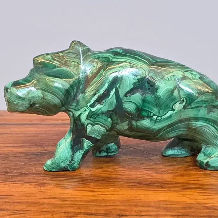 [BUNJANG] Malachite Baby Hippo Mineral Stone / 26091020 좋은 기운을 내뿜고 컬러와 문양이 환상적인 말라카이트 공작석 아기 하마 광물 수석 팝니다