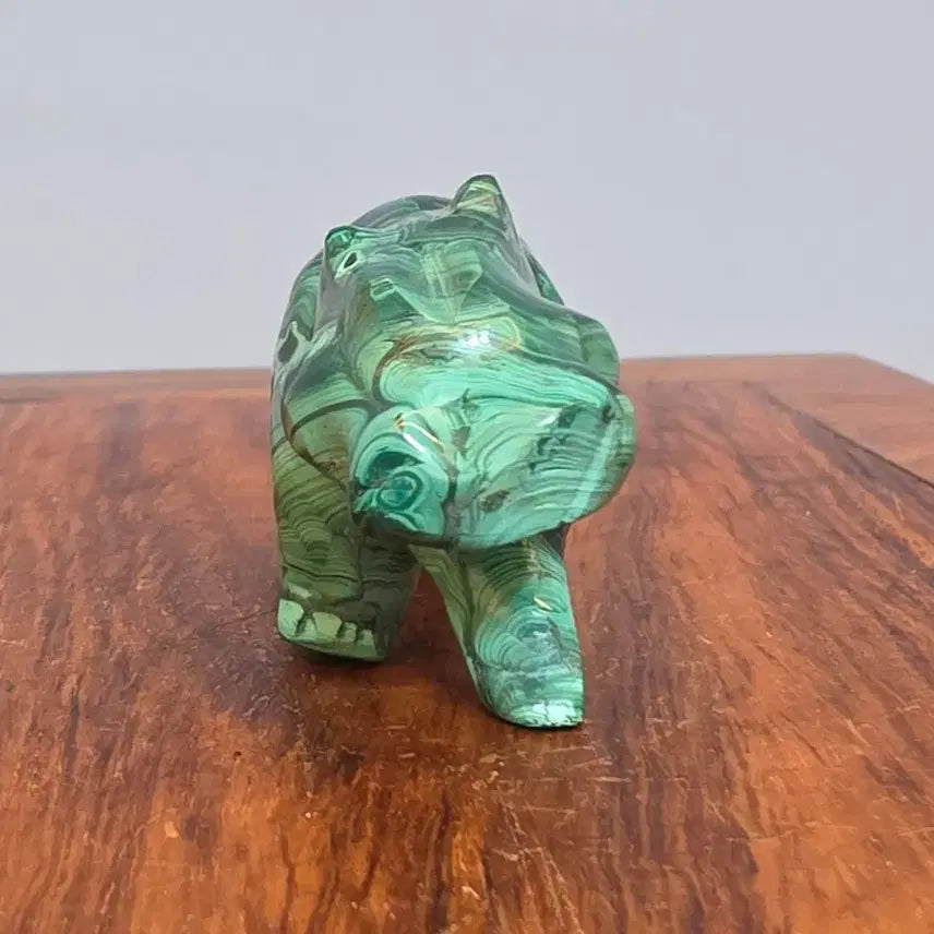 [BUNJANG] Malachite Baby Hippo Mineral Stone / 26091020 좋은 기운을 내뿜고 컬러와 문양이 환상적인 말라카이트 공작석 아기 하마 광물 수석 팝니다