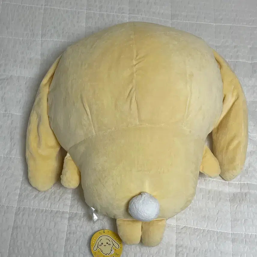 [BUNJANG] Cheikawa Usagi Robe Ear Big Plush / 치이카와 우사기 롭이어 빅누이