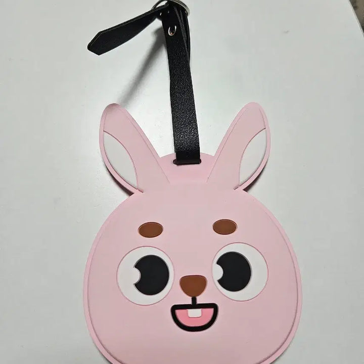 [BUNJANG] Day6 Young K Japan Luggage Tag / 데이식스 필 일본러기지택