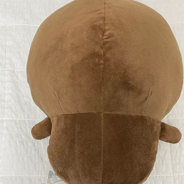 [BUNJANG] Chiikawa Beetle Big Plush / 치이카와 풍뎅이 빅누이