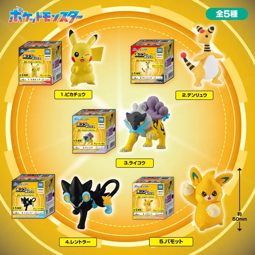 [BUNJANG] Pokemon Moncolle Box 12 Full Set / 포캣몬 몬코레박스 12 풀세트