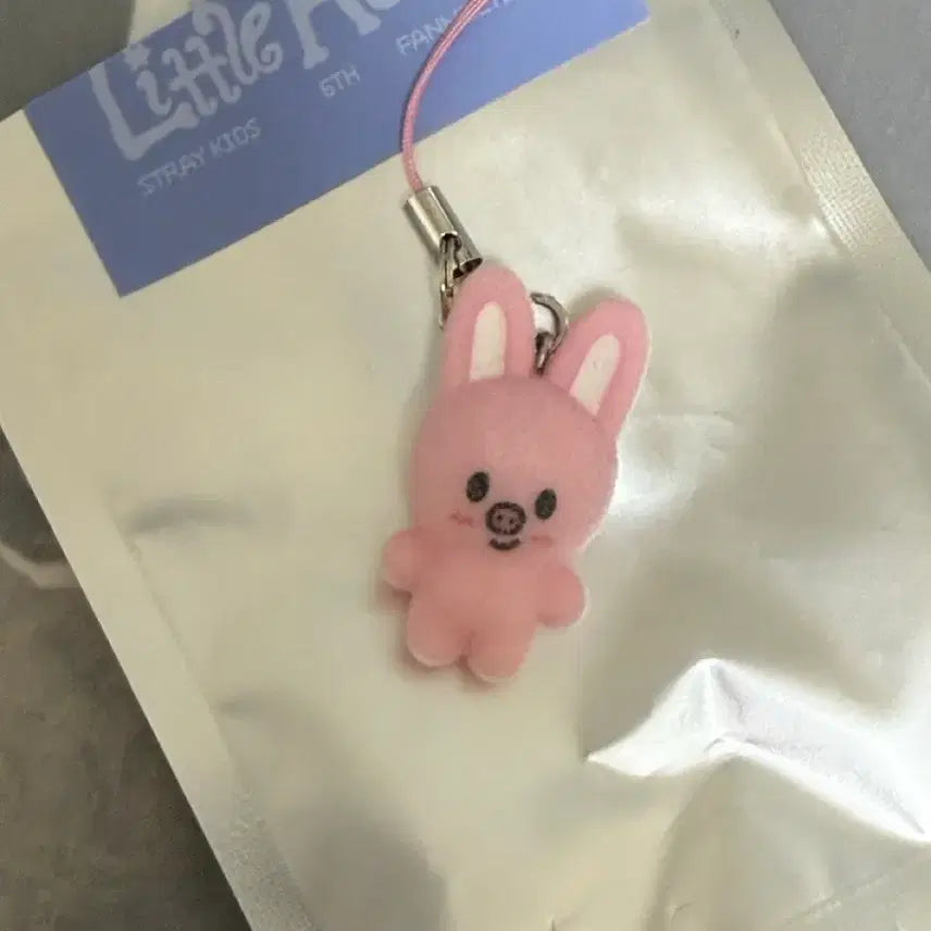 [BUNJANG] SKZOO Changbin Micro Keyring / 스키주 마이크로 키링 돼끼 스키즈창빈