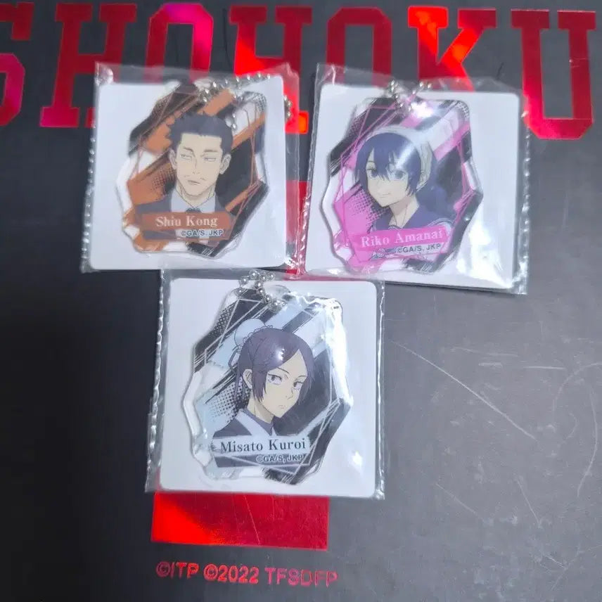[BUNJANG] Jujutsu Kaisen Acrylic Keychain Bundle / 주술회전 아크릴