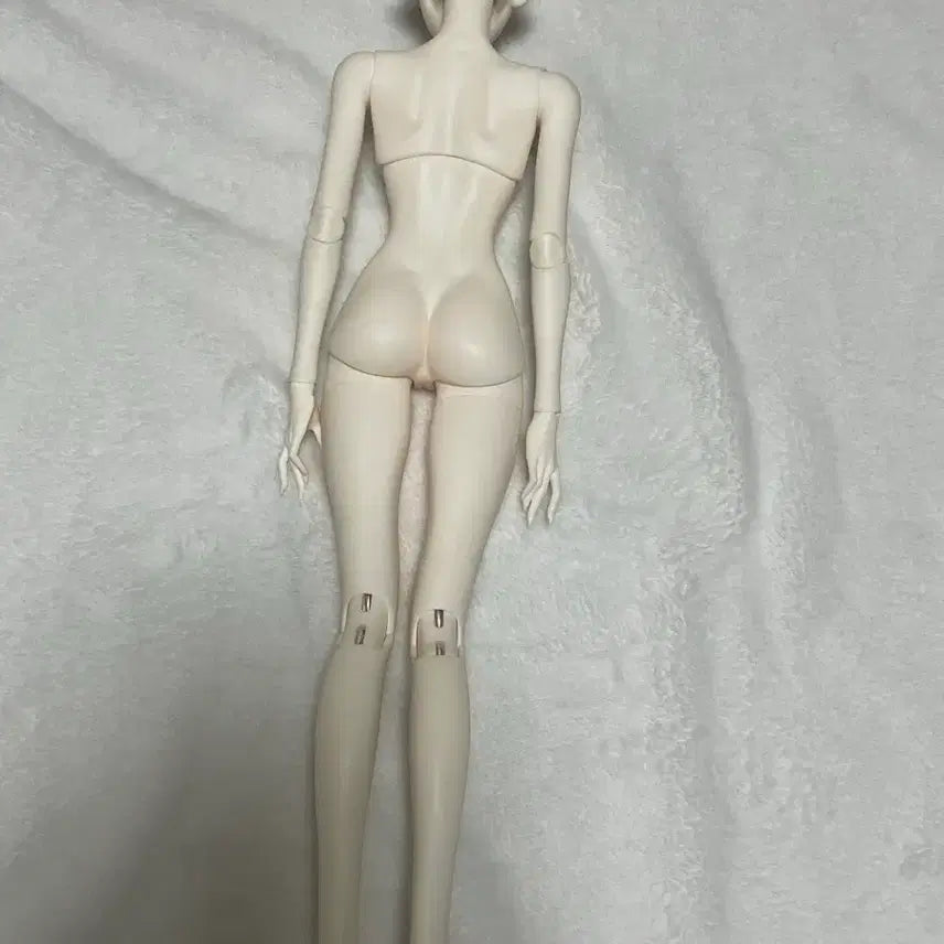 [BUNJANG] MSD Head + Body (Includes Eyes) / msd 헤드+바디 (안구포함)