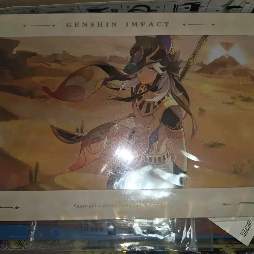 [BUNJANG] SAYNO Color Paper / 사이노 색지