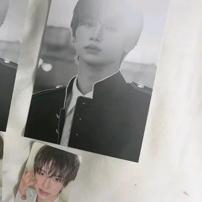 [BUNJANG] Aldi One Anshin Fragile Beast Postcard Photocard Set / 알디원 안신 Fragile Beast 엽서 포카 세트