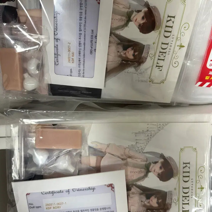 [BUNJANG] Roots Dolls Kid Delf Bori &amp; Kai Unsealed Doll Set / 루츠돌 키드델프 보리&amp;카이 미개봉 판매합니다