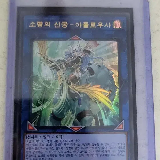 [BUNJANG] Yu-Gi-Oh! Sacred Archer - Apolloosa Link 4 / 유희왕 카드 소명의 신궁-아플로우사 팝니다