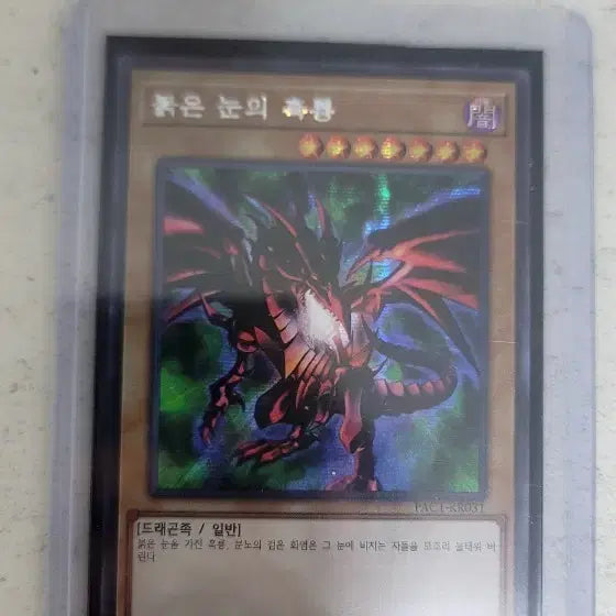 [BUNJANG] Yu-Gi-Oh! Red-Eyes Black Dragon Card / 유희왕카드  붉은 눈의 흑룡 팝니다