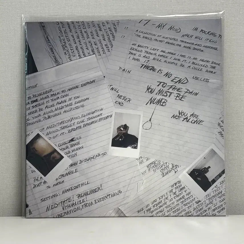 [BUNJANG] XXXTentacion 17 &amp; ? LP Bundle Set / 텐타시온 lp 일괄