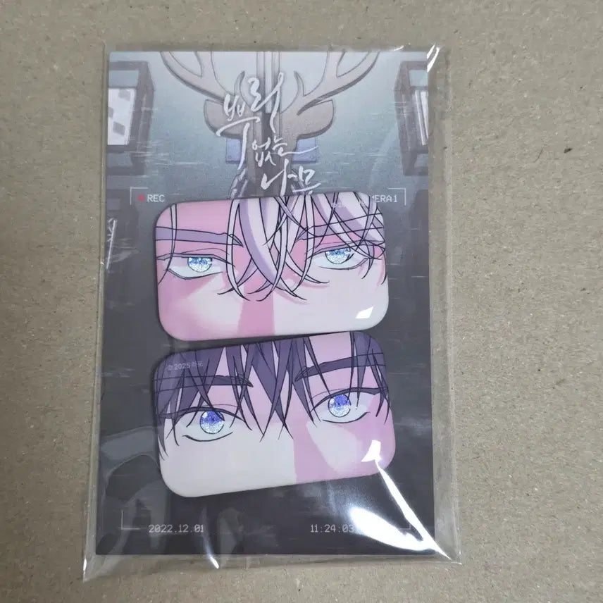 [BUNJANG] Rootsless Tree Eye Contact Badge Sealed / 뿌리없는나무 아이컨택트 뱃지 미개봉