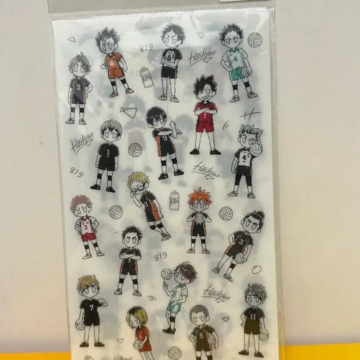 [BUNJANG] Haikyu!! B-SIDE LABEL Multi-Case / 하이큐!! B-SIDE LABEL 멀티케이스