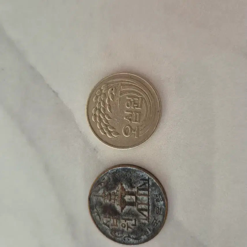 [BUNJANG] 1979 10 Won Coin &amp; 1981 50 Won Coin Bundle Set / 1979년  10 원/1981년 50원 동전