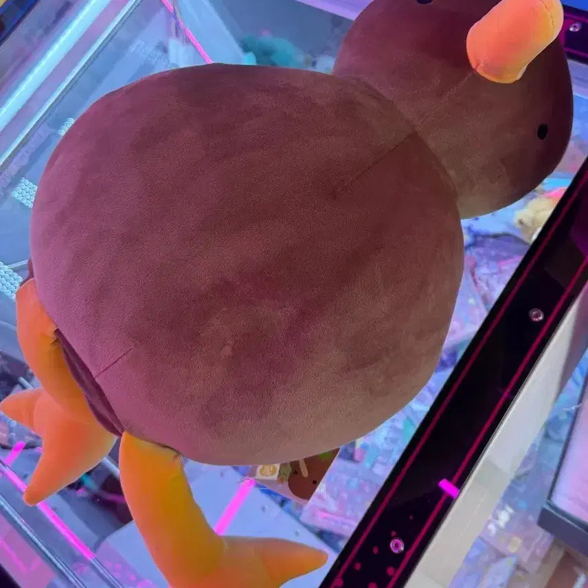 [BUNJANG] Giant Kiwi Bird Plush 50cm / 반전 키위새 초대형 50cm새상품