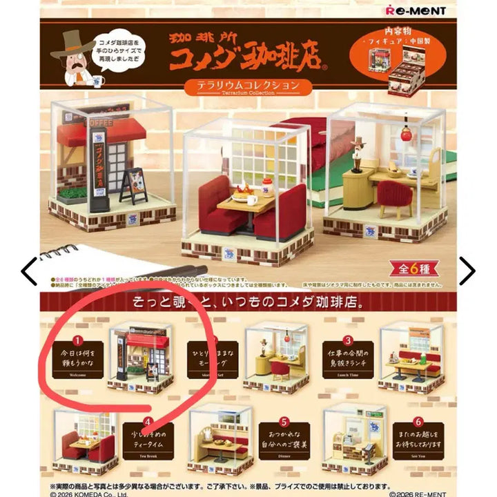 [BUNJANG] Comeda Coffee Terrarium Shokugan Set 1 / 코메다커피 테라리움 식완 리멘트 1번