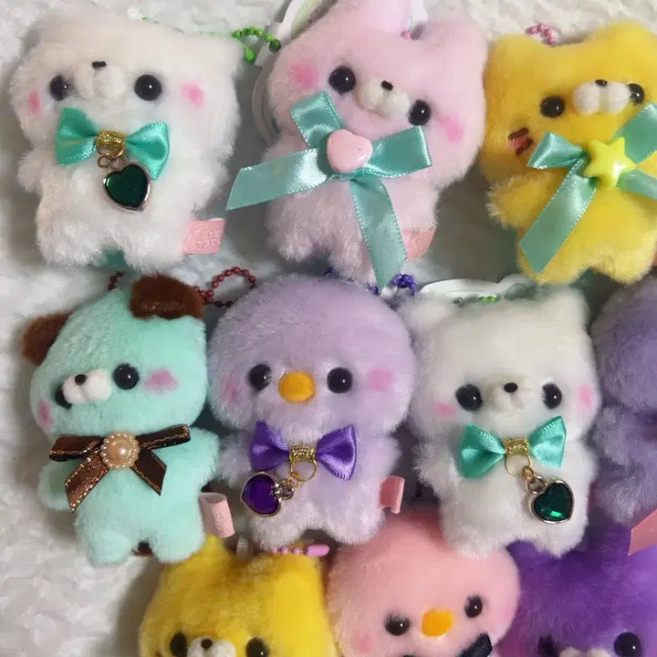 [BUNJANG] Squot Touch-san Gacha Plush Charm Bundle Set / 스쿳토탓치상 가챠 인형 키링 14체 일괄 전체