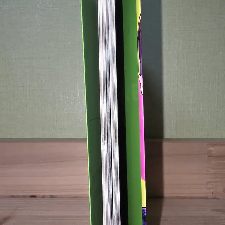 [BUNJANG] Chainsaw Man Leze Special Booklet / 체인소 맨 소책자