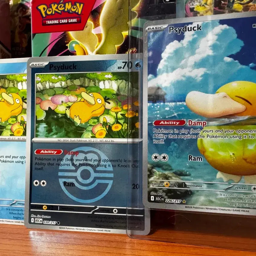 [BUNJANG] North American GORAPUDUCK IR Card / 북미 고라파덕 ir