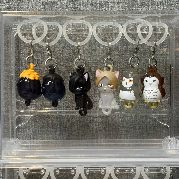 [BUNJANG] Haikyu!! Animal Mascots Gacha Full Set / [풀셋] 하이큐 동물 메지루시 가챠